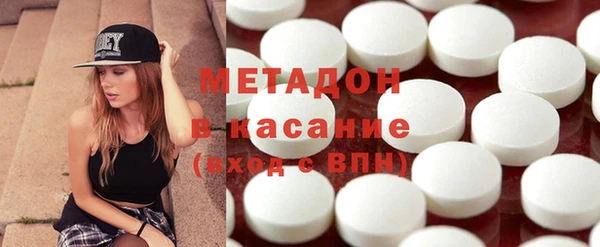 прущие грибы Абинск