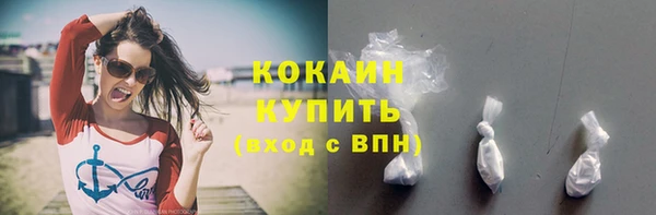 прущие грибы Михайлов