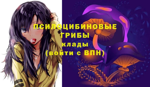 spice Абаза