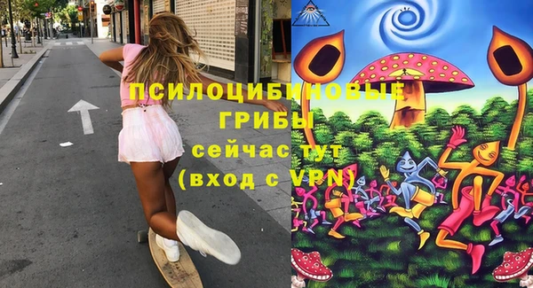 spice Абаза