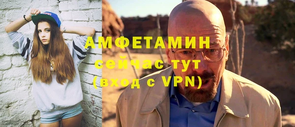 прущие грибы Михайлов