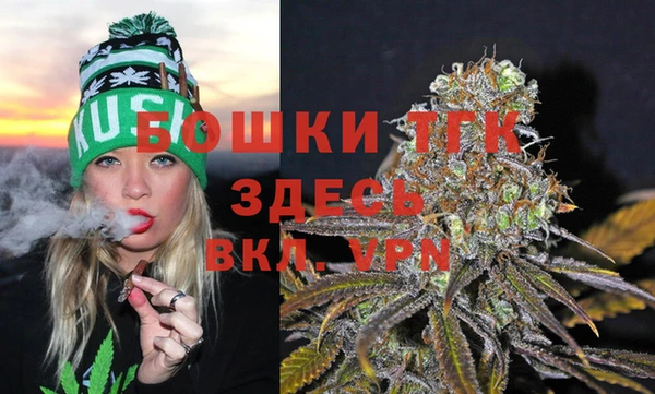 прущие грибы Абинск