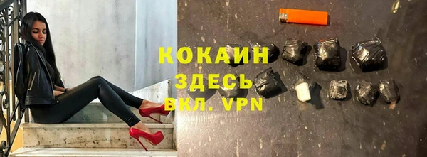 прущие грибы Абинск