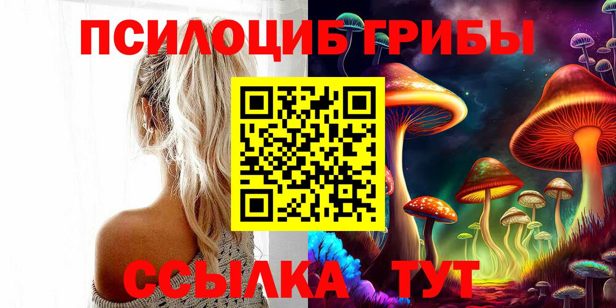 Псилоцибиновые грибы Psilocybe Ялуторовск