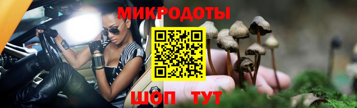 Ялуторовск  Псилоцибиновые грибы ЛСД  Вход с VPN  сколько стоит  Псилоцибиновые грибы Psilocybe 